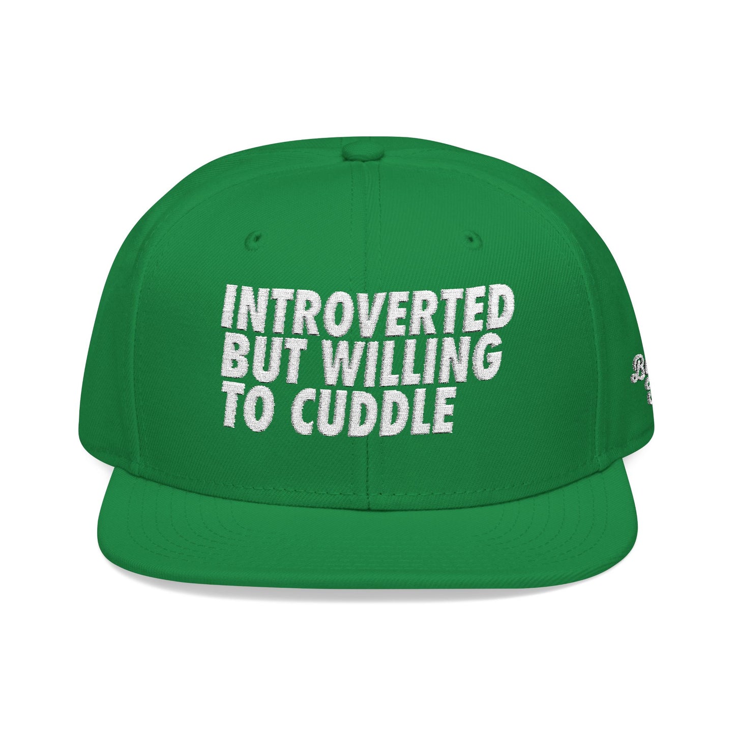 Introverted but Willing to Cuddle Snapback Hat