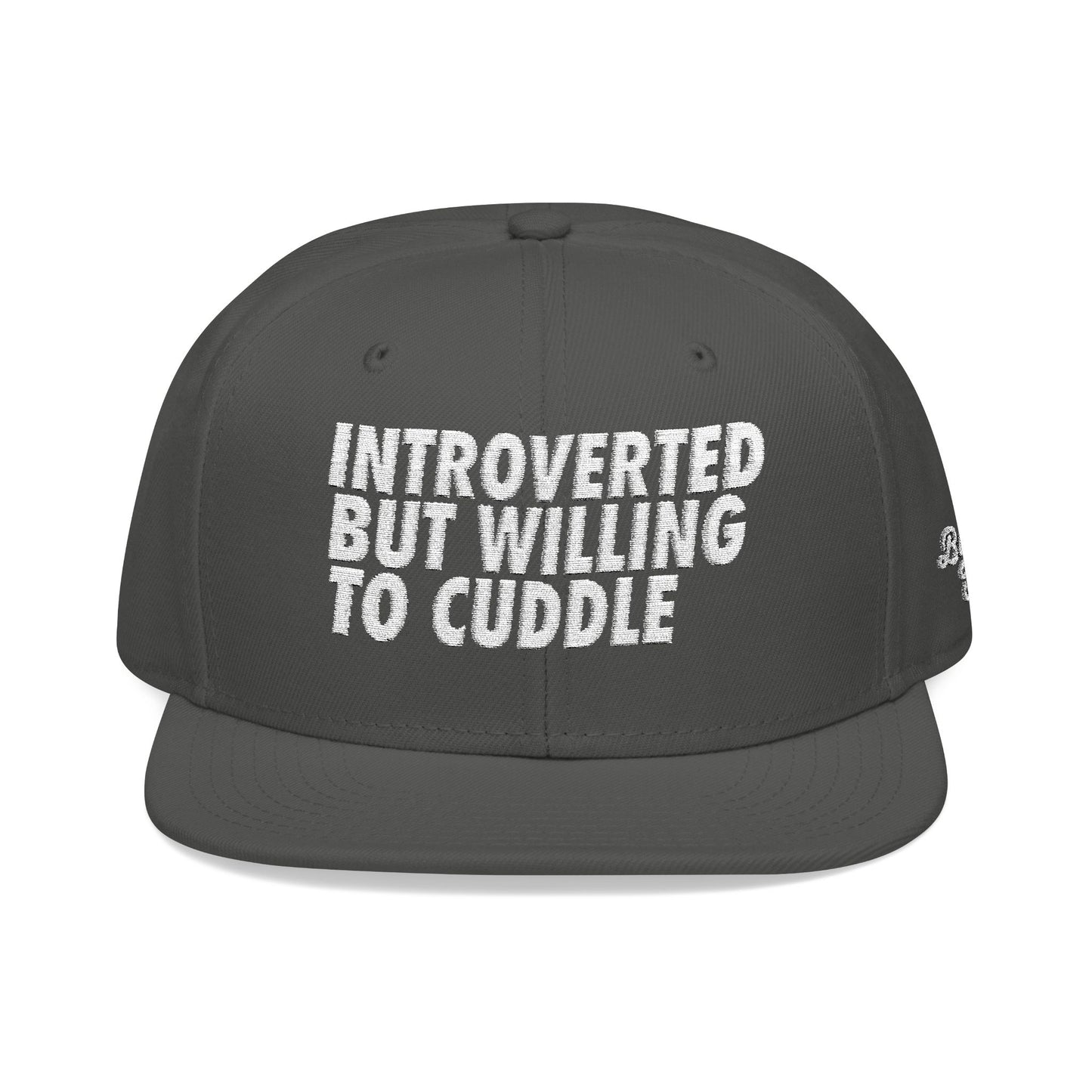 Introverted but Willing to Cuddle Snapback Hat