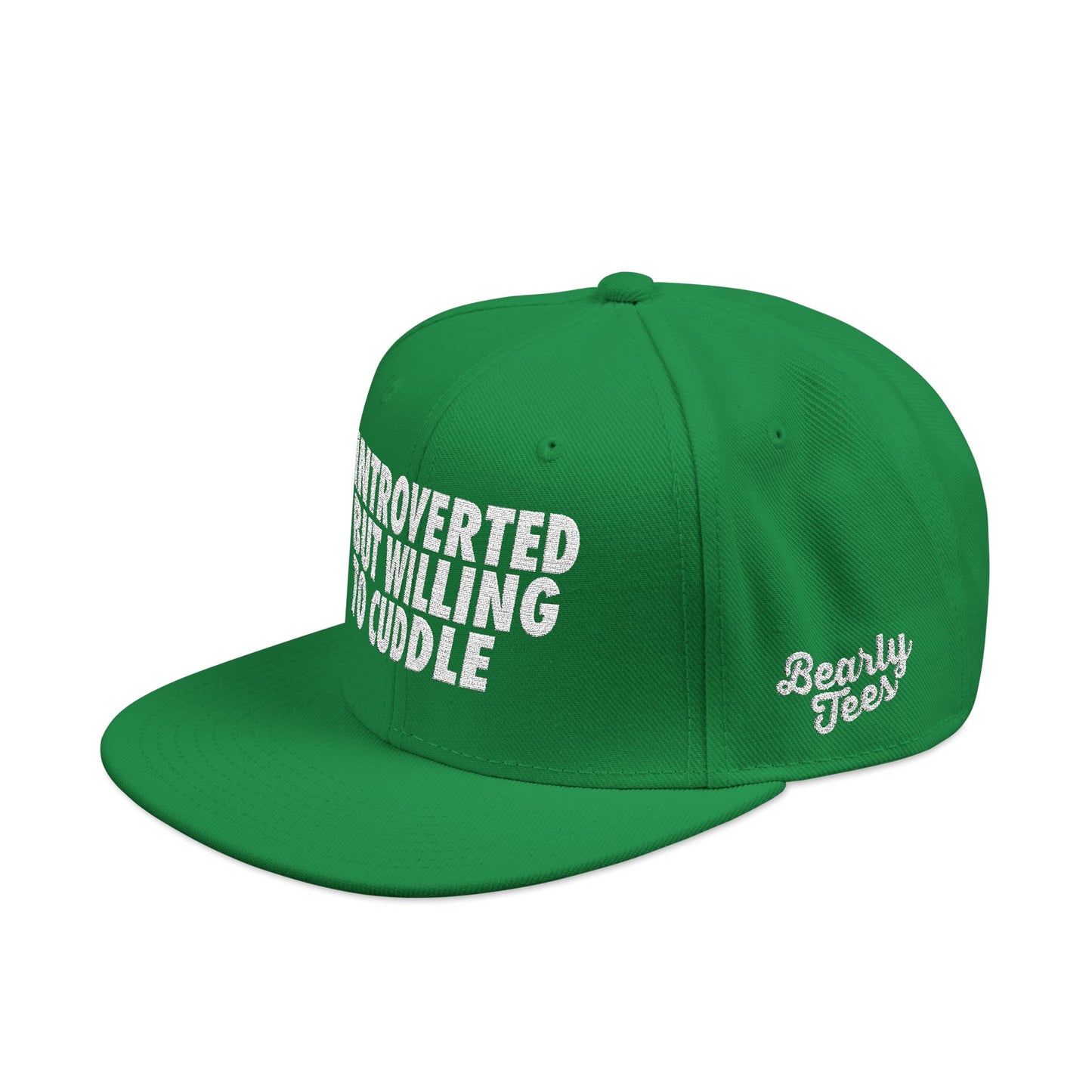Introverted but Willing to Cuddle Snapback Hat
