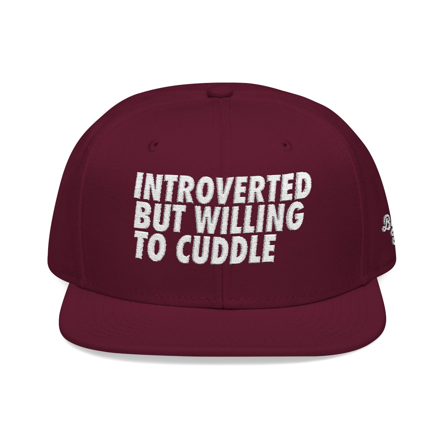 Introverted but Willing to Cuddle Snapback Hat