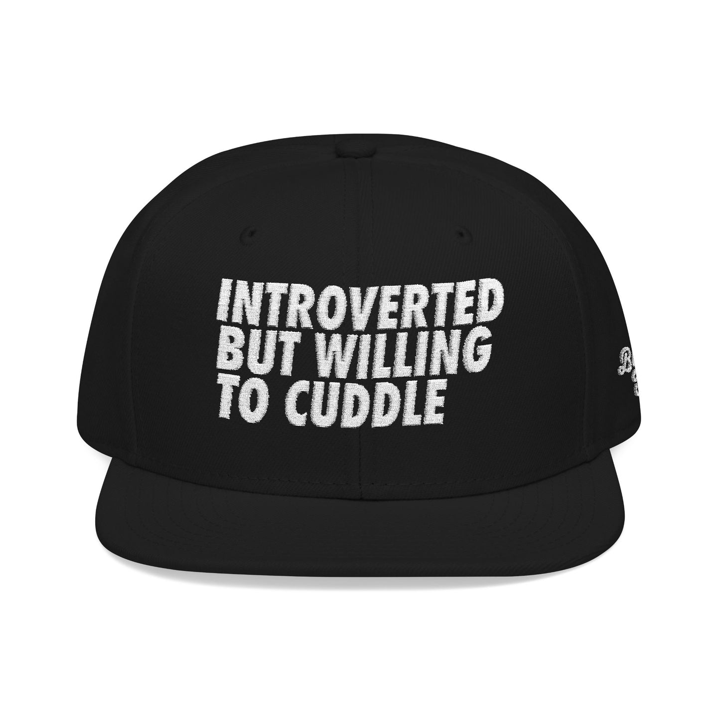 Introverted but Willing to Cuddle Snapback Hat