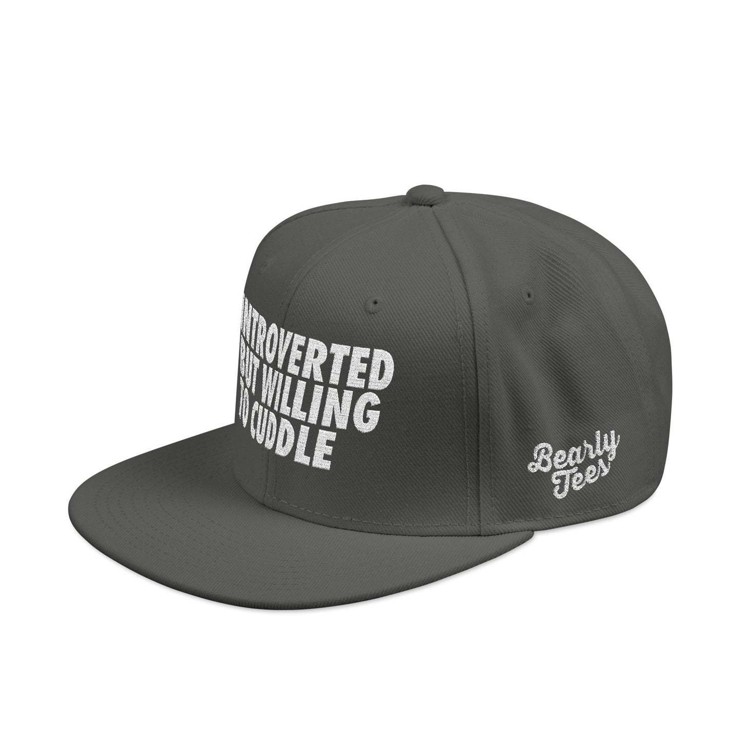 Introverted but Willing to Cuddle Snapback Hat