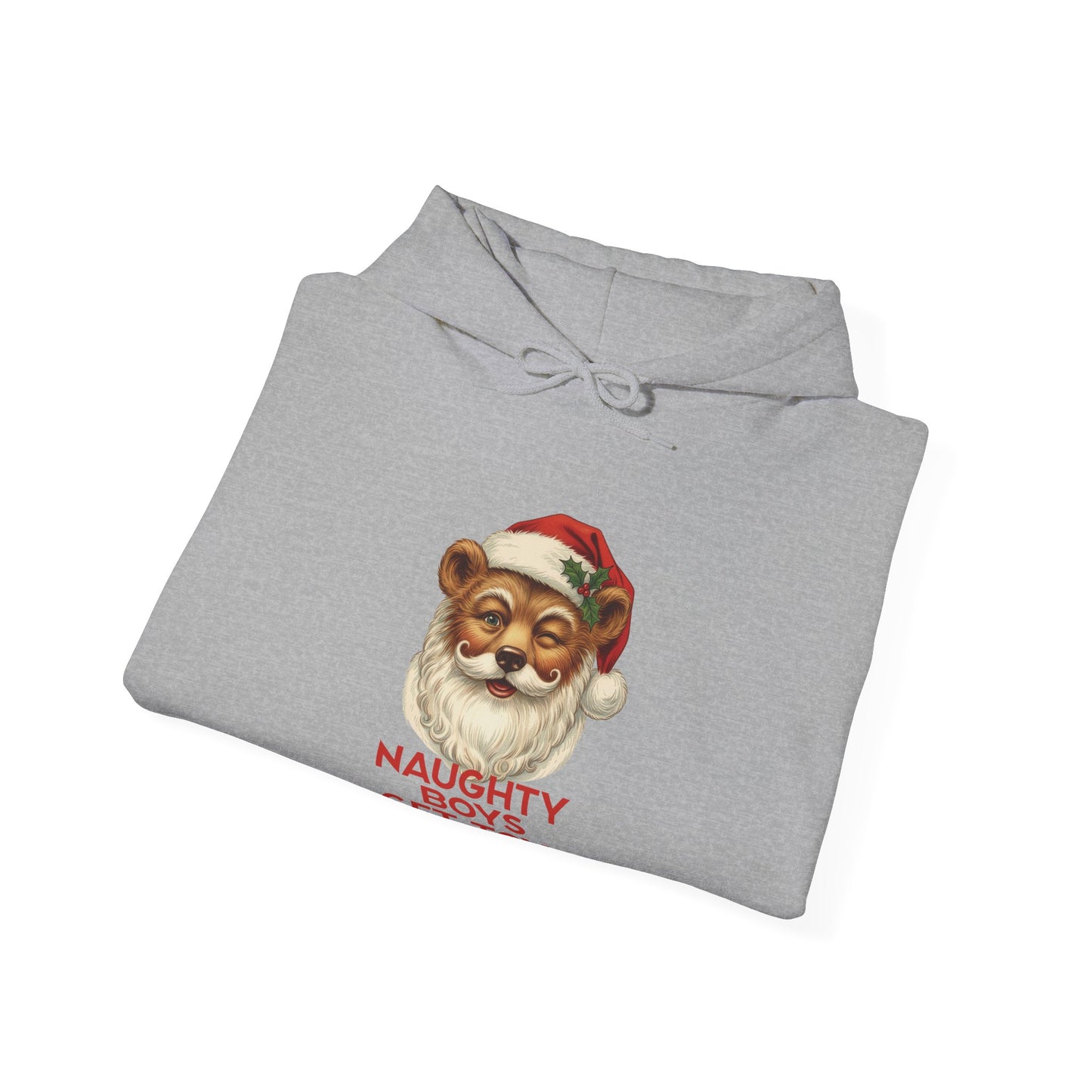 Naughty Boys Hoodie