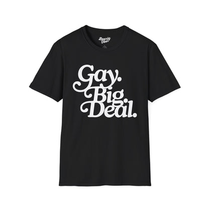Gay. Big. Deal.